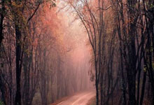 排球：解盛岩独得20分 朱星辰表现抢眼.