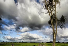 首月销量破千万，《怪猎：荒野》创造卡普空新纪录；LOL拍真人剧.